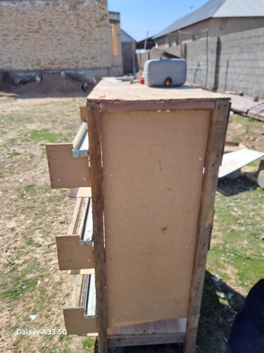 Бөдене клеткасы сатлады