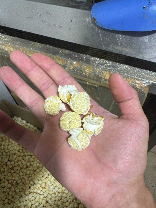 Зерно для попкорна USA