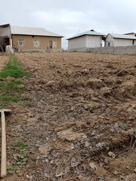 Янгийул маххаласида 6 соток ер участкаси сотилади