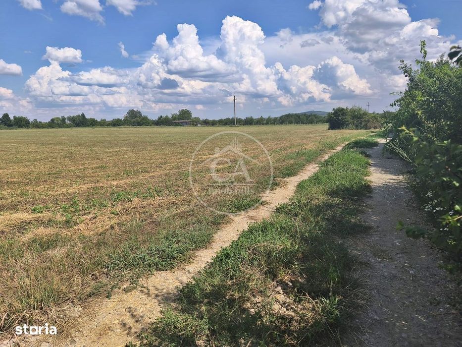 Teren extravilan/intravilan de vânzare in Nufarul, Oradea