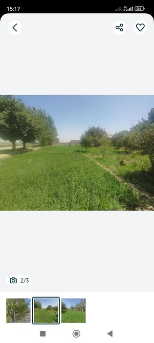 Yer sotiladi.Manzil: Nishon tumani yulduz mahallasida.Qarshi magistral