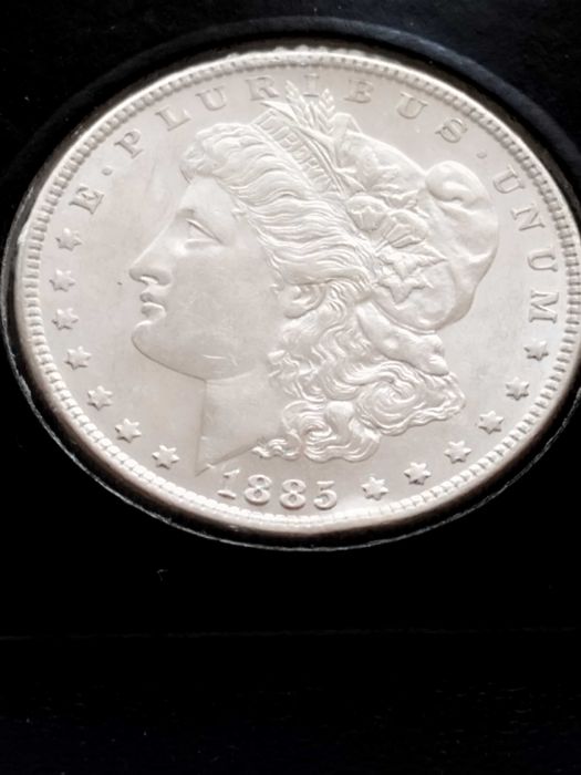 Сребърни долари и левове от 19ти век