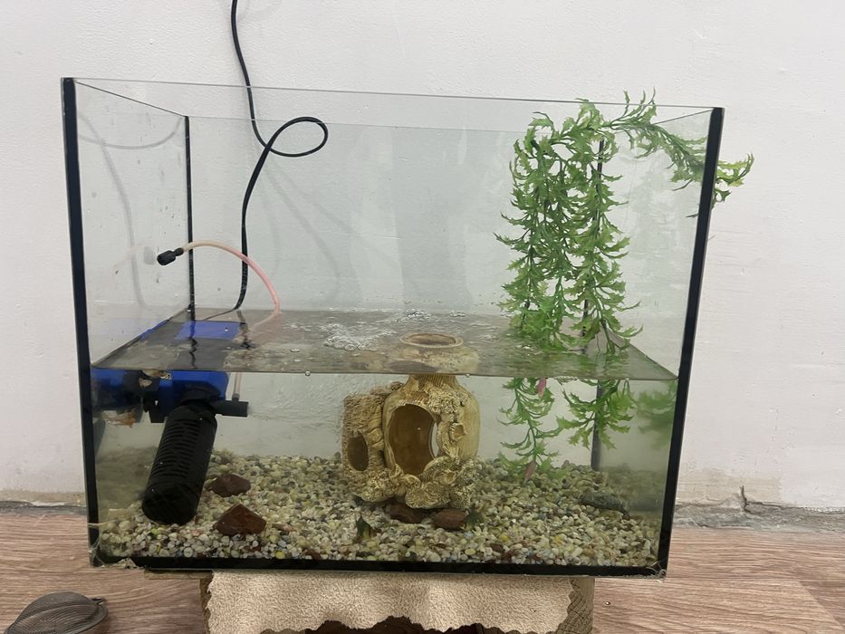 Аквариум сатылады