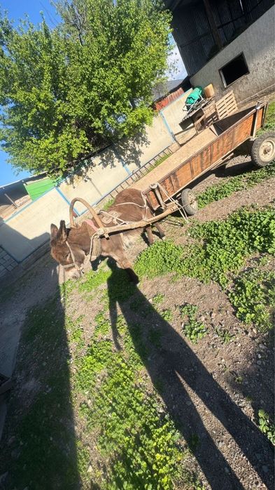 продается в комплекте