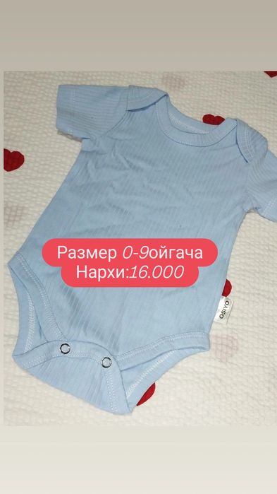 Бодик чакалокга янги