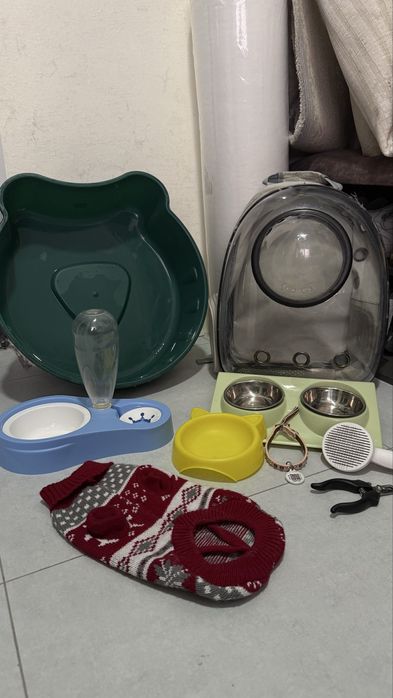 Для кота аксувари