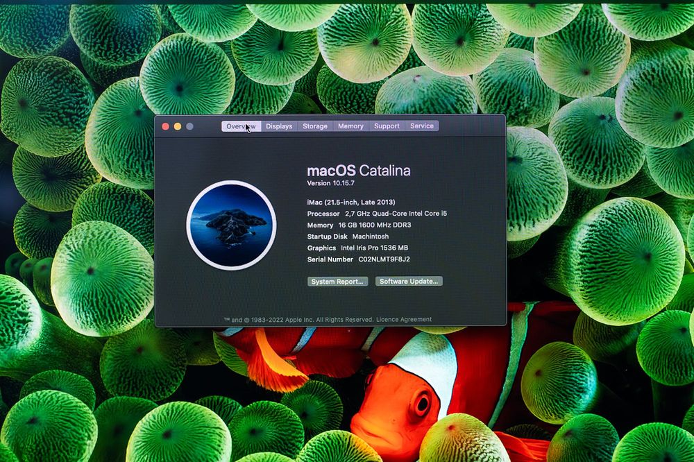 iMac 21.5” Late 2013