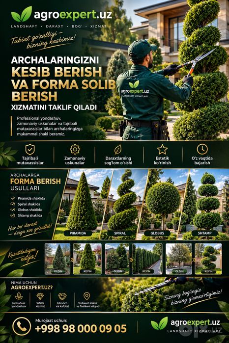 Archa kesish | Daraxt kesish | bognon