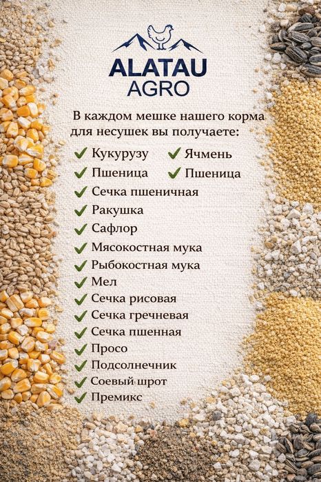 Корм для Кур несушек