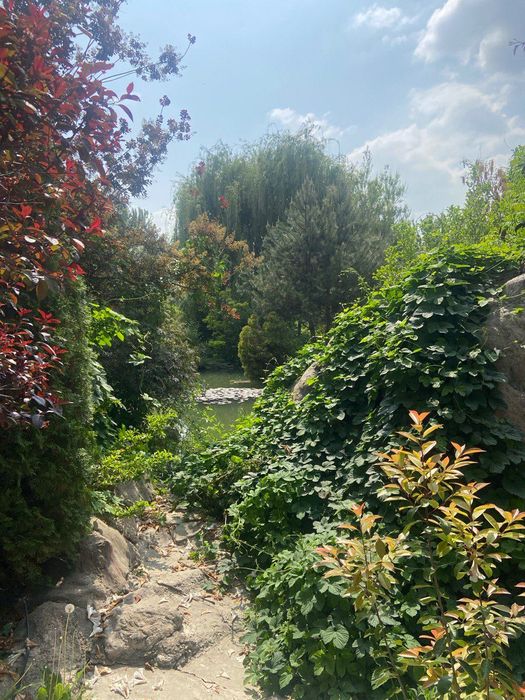 Микроавтобус в горы. Туры, экскурсии. Трансфер в аэропорт