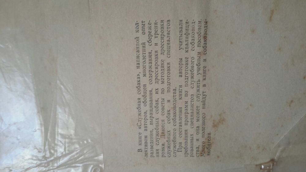 Служебная собака