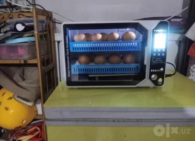70 talik avtomat Inkubator/ инкубатор