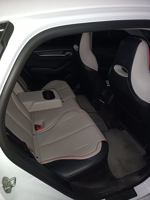 byd chazor GIBRID