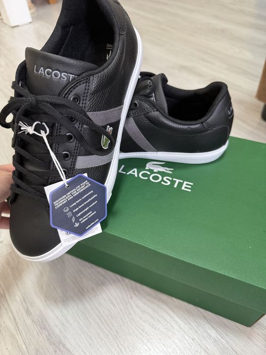 Lacoste кеды мужские