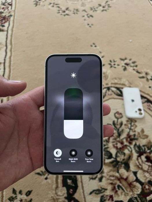 Обмен Малга сиырга