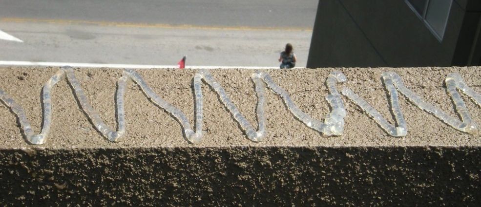 Гель против птиц! (Отпугиватель)