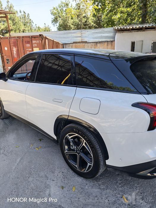 Neta L Gibrid 318 km. Full 2024