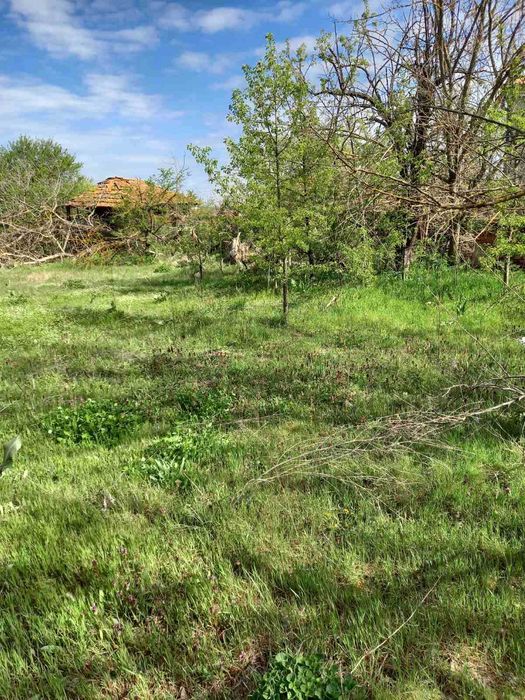 Продава се Къща в с. Маломир, Област Ямбол - 100 кв.м за 169 €/кв.м - Снимка #1