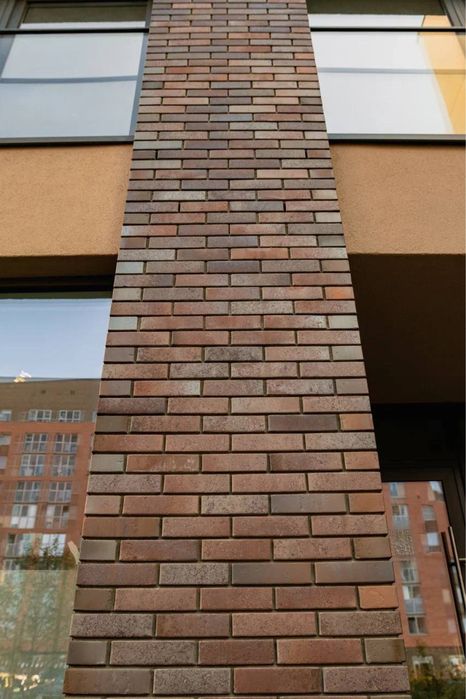 Тайга юг Марион ликолор