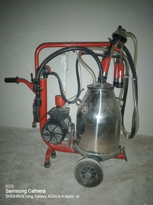 Garantiyasi bor hdhdkdjdndbdbdb