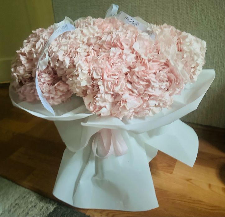 Цветы Гортензия)