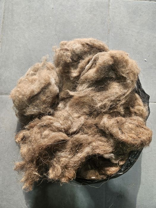 Шерсть  верблюжей:Мытий,Чёсанный!!