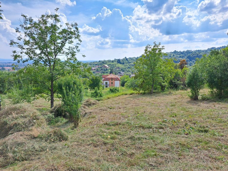 Teren 6 ari,12 sau 18ari,intrare pe Valea Borcutului pt 2 blocuri/case