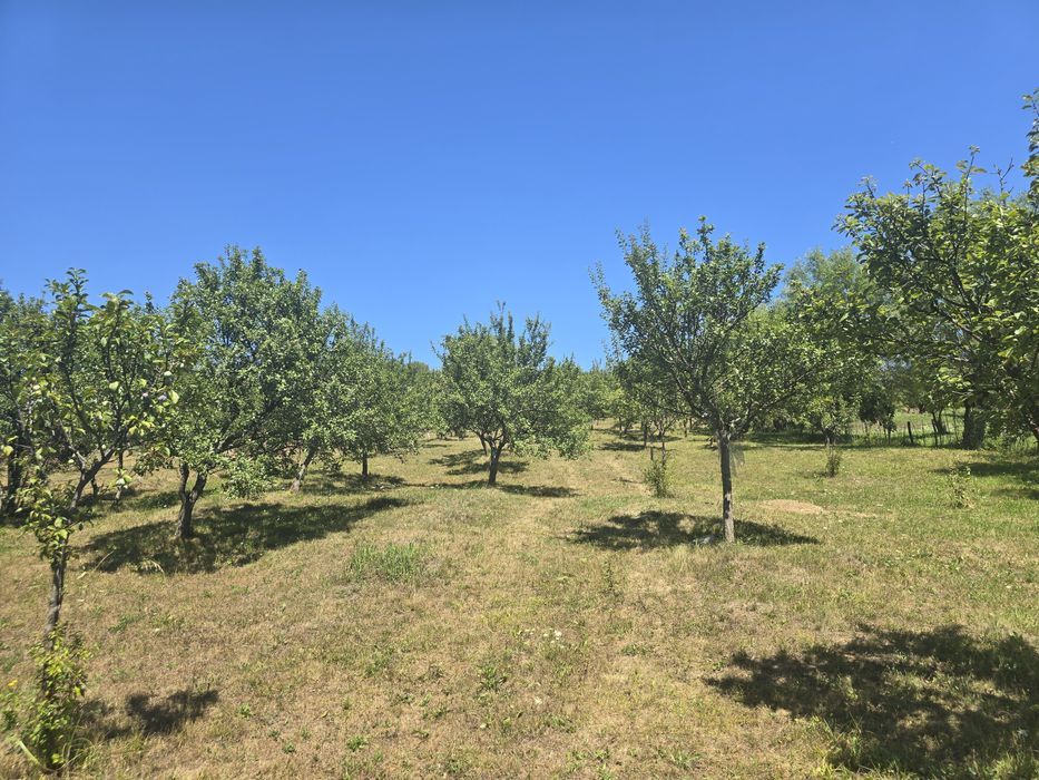 Teren intravilan Corbi  , Arges , Mănăstirea Corbii de Piatra