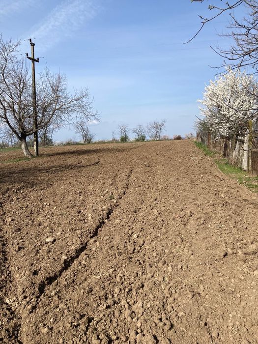 Casa tradițională de vânzare- Săuca, județul Satu Mare