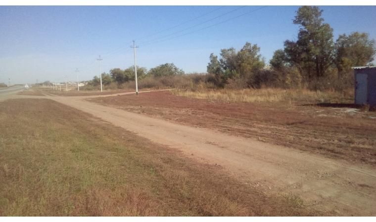 Участок в дачном массиве Коянды