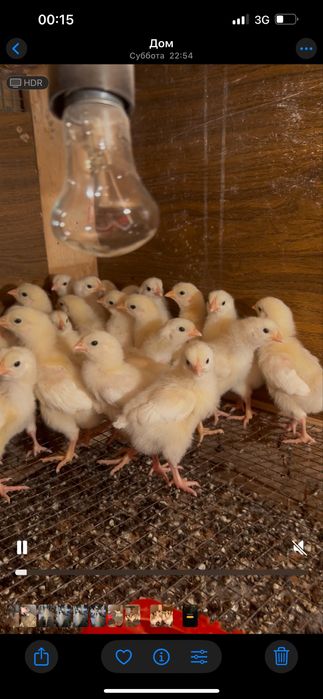 Адлер бплапаны сатылады