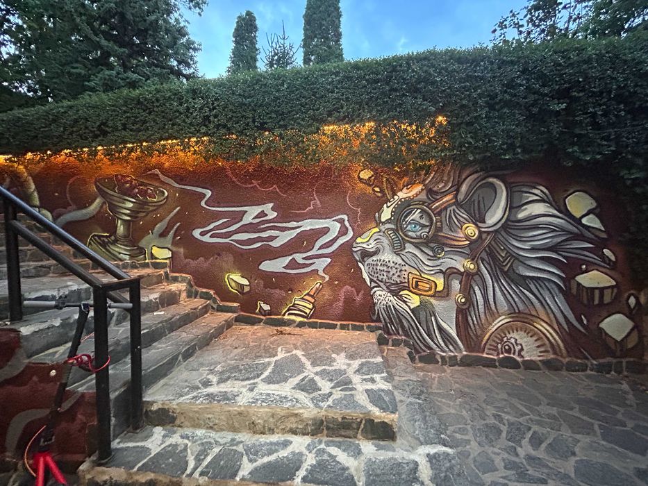 Професионални графити услуги - рисуване на стени, фасади,стаи