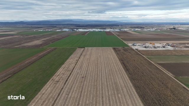 Anunț Vânzare Teren în Prejmer - Zonă Parc Industrial