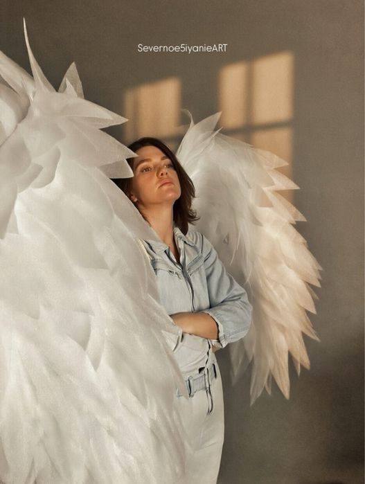 Крылья «Валькирия» аренда