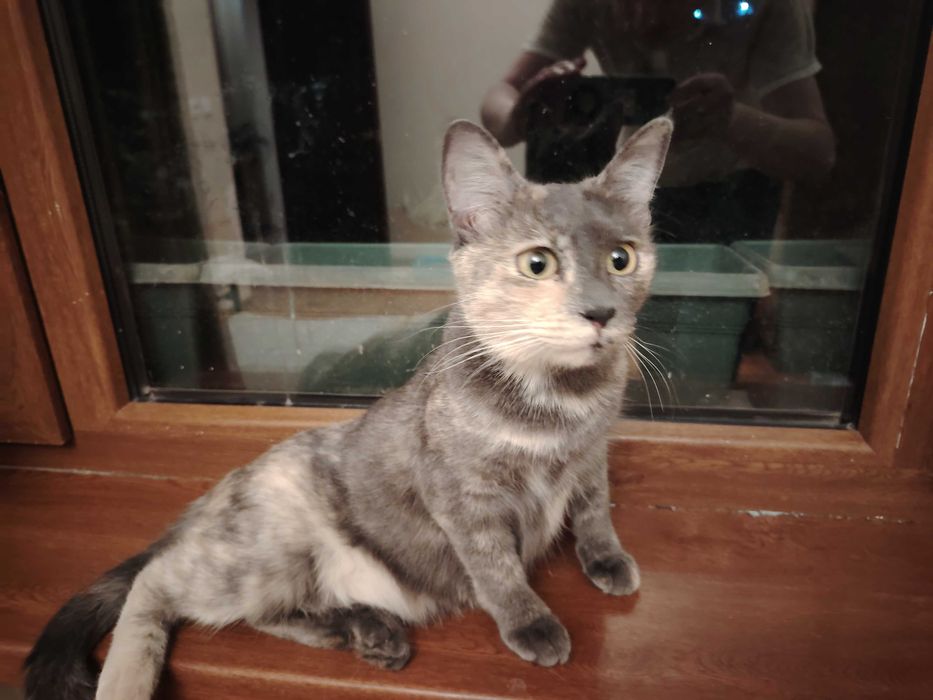 Отдаются даром мама и дочь