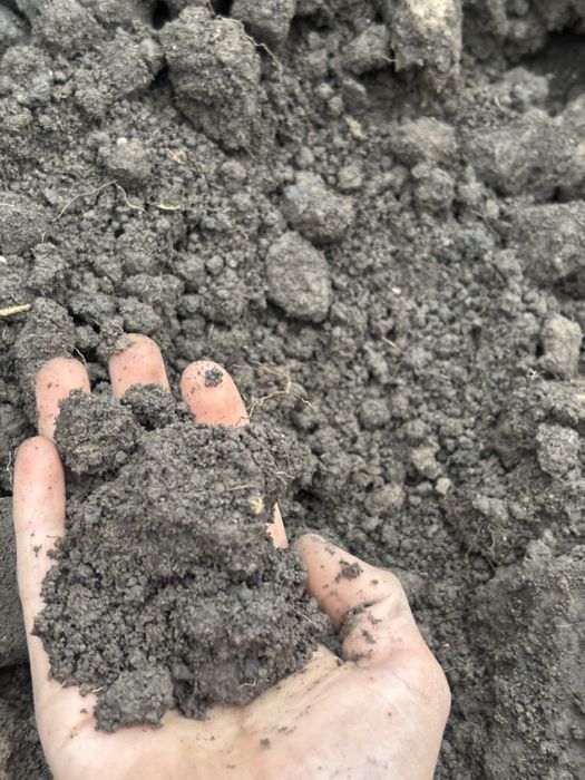 Чернозем в мешках