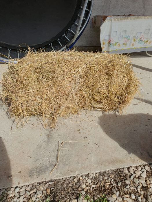 Baloți de fân - Calitate superioară