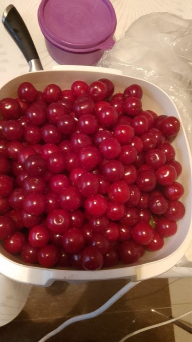 продам вишню крупную