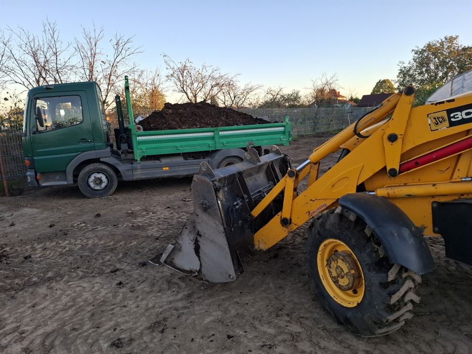 Mraniță/bălegar putred Îngrășământ natural solare gradina legume pomi