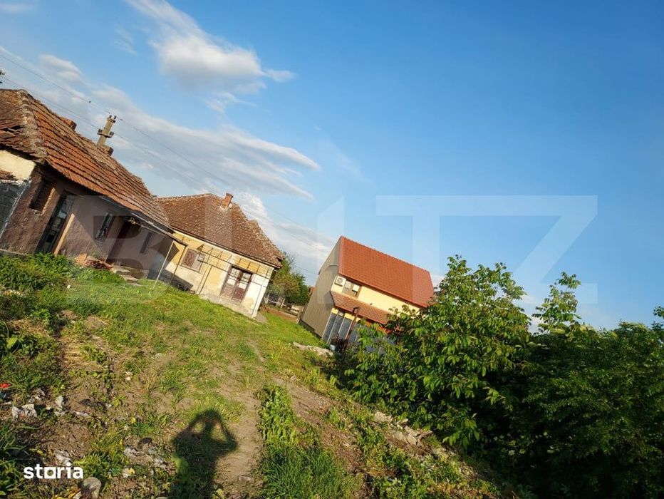 Casa cu teren 28,67 ari Botiz