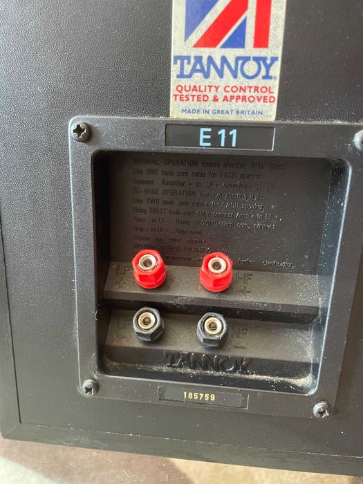Тонколони TANNOY E11