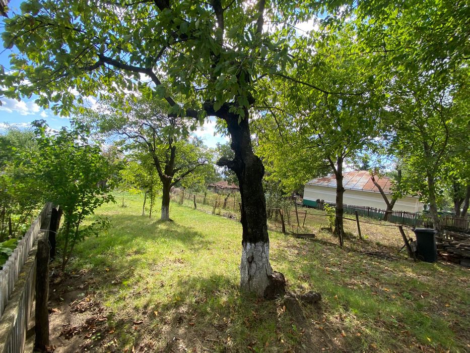 De vânzare casă spațioasă în Ciortești, jud. Iași