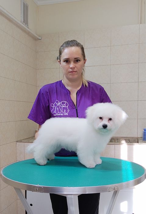 Стрижка собак и кошек в Актау !