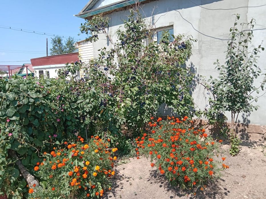 Недвижимость продажа