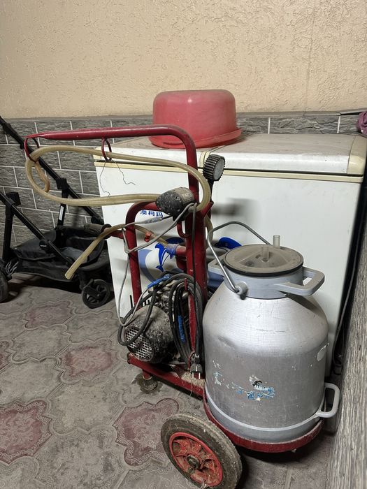 Доильный аппарат для коров