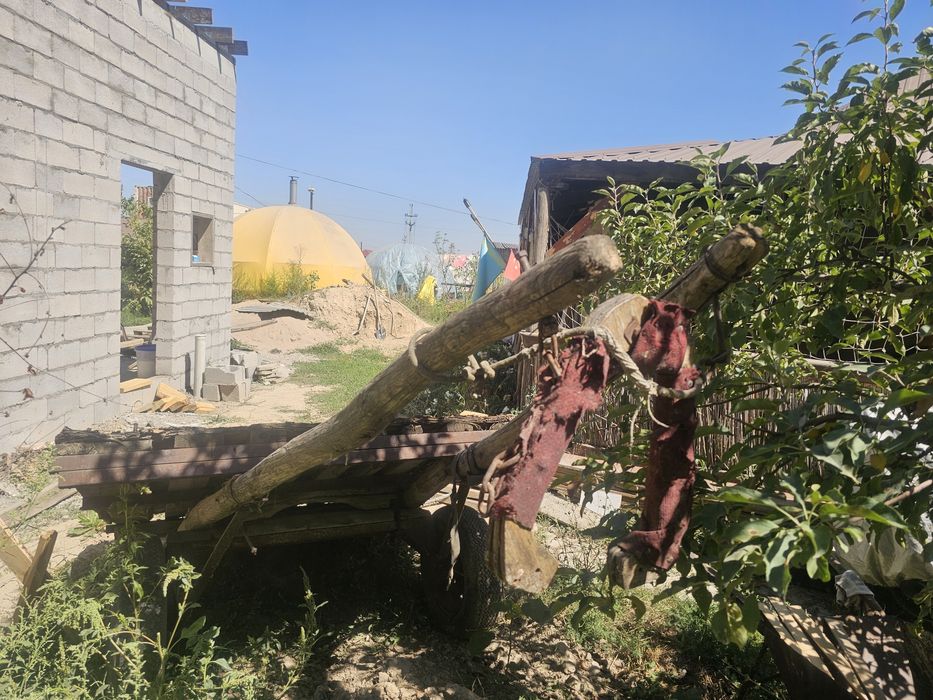 Бричка для ослов ишаков