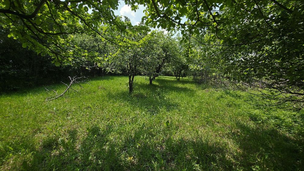 Продава се Парцел в с. Кралев дол, Област Перник - 1050 кв.м за 44 €/кв.м - Снимка #2