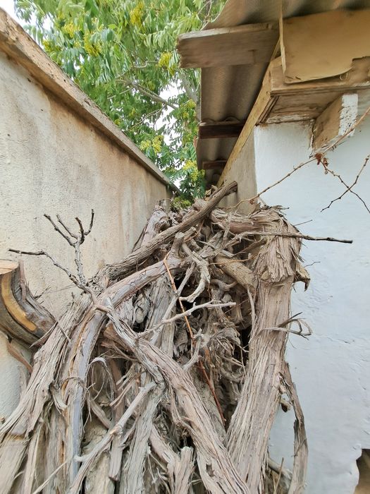 Srochno Aralash o'tin sotiladi