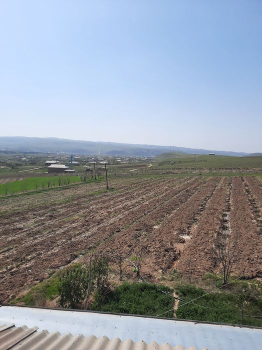 Yaxshi joy uyxam bor 2 xonali daliziblsn