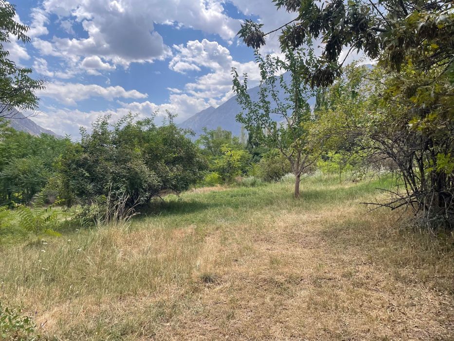 Чарвак, 10га под зону отдыха